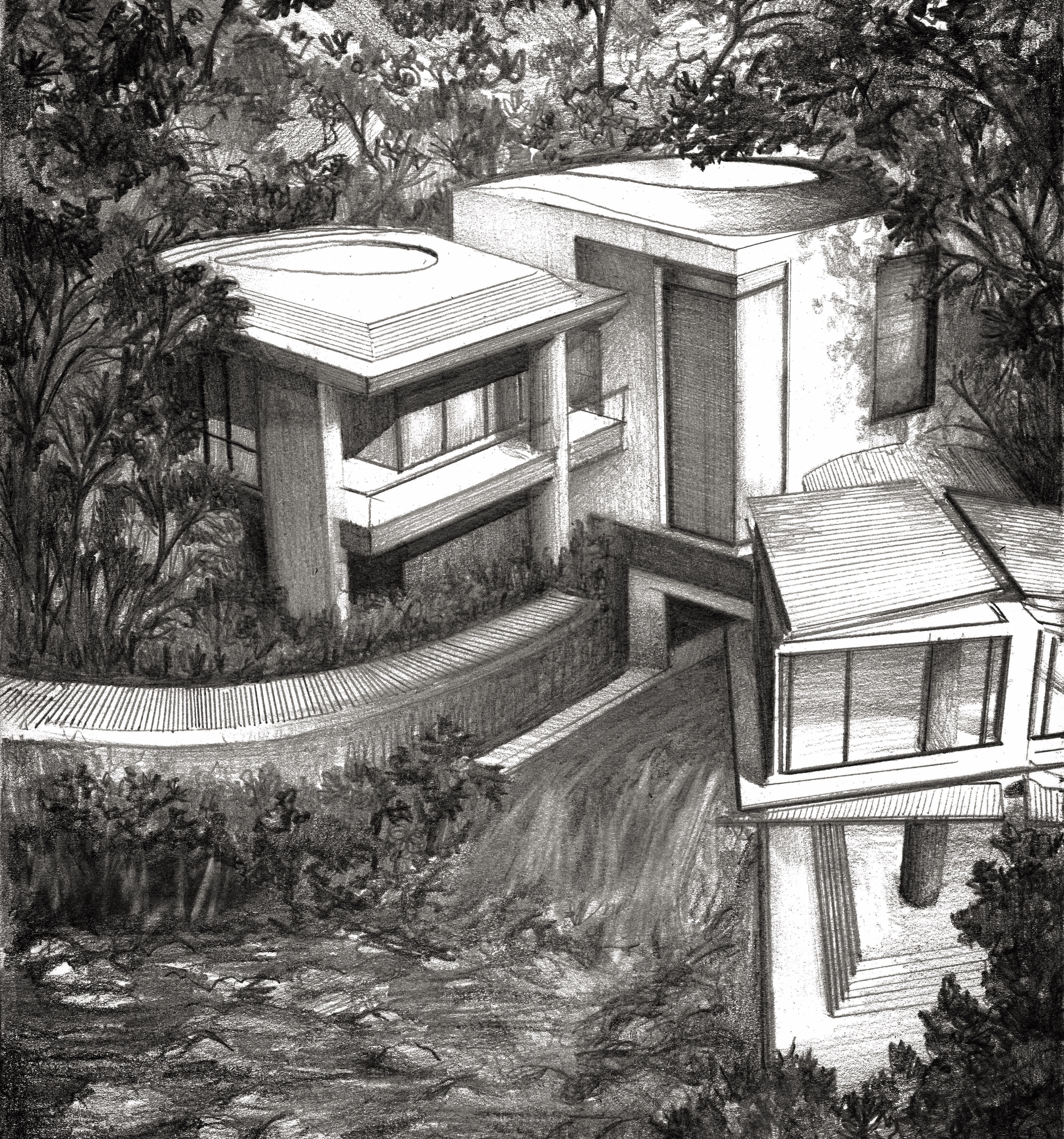 Forest mansion